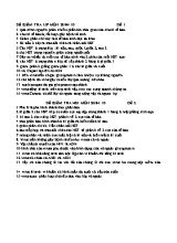 Bộ đề kiểm tra 15 phút học kì I môn Sinh học Khối 10